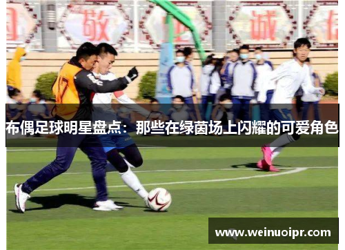 布偶足球明星盘点：那些在绿茵场上闪耀的可爱角色